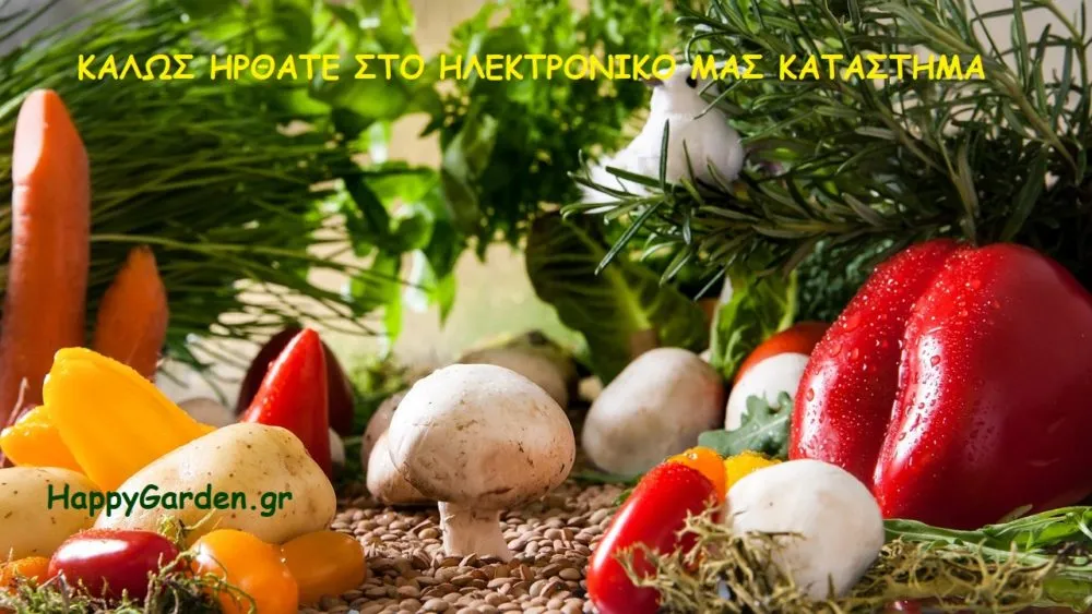 ΗΡΘΑΤΕ ΣΤΟ ΚΑΤΑΣΤΗΜΑ ΜΑΣ e1566921341262